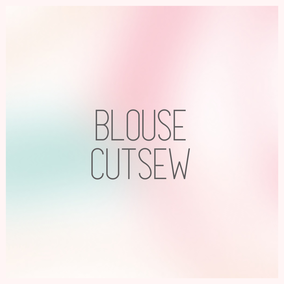 Blouse / Cutsew