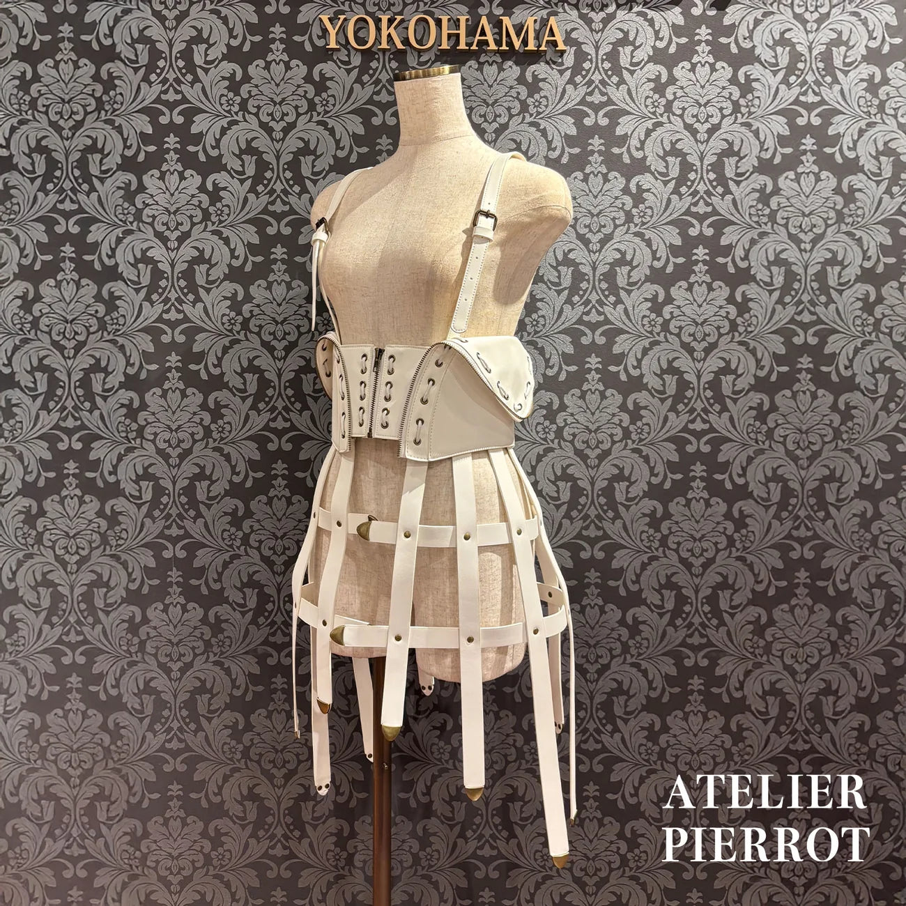 Sealed Cage Corset Harness
