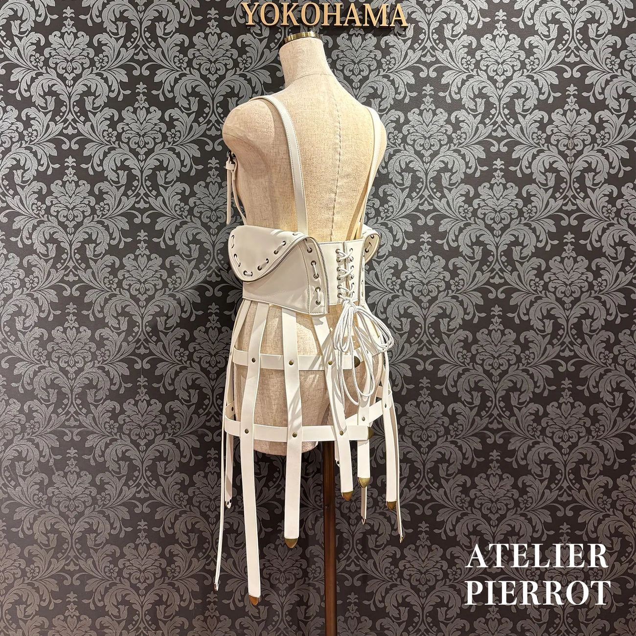 Sealed Cage Corset Harness