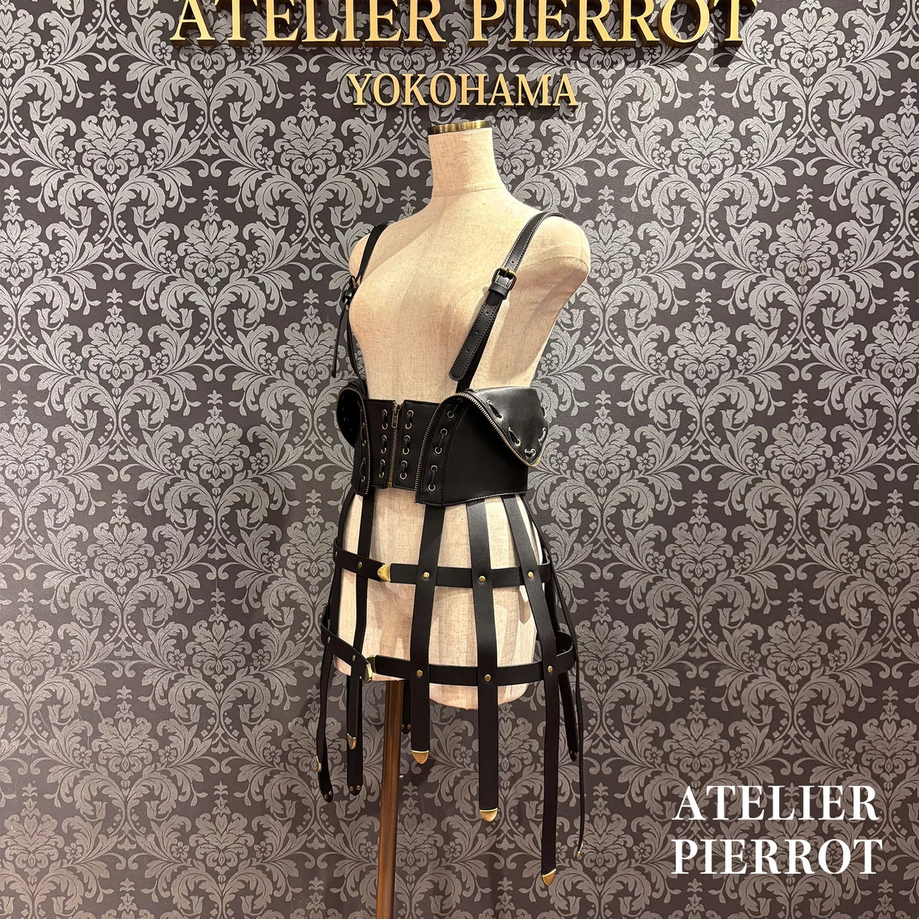 Sealed Cage Corset Harness
