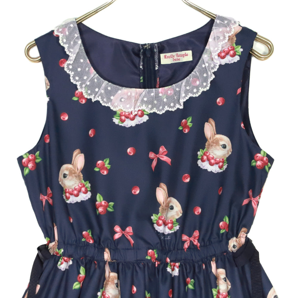 Berry Bunny Sleeveless Dress