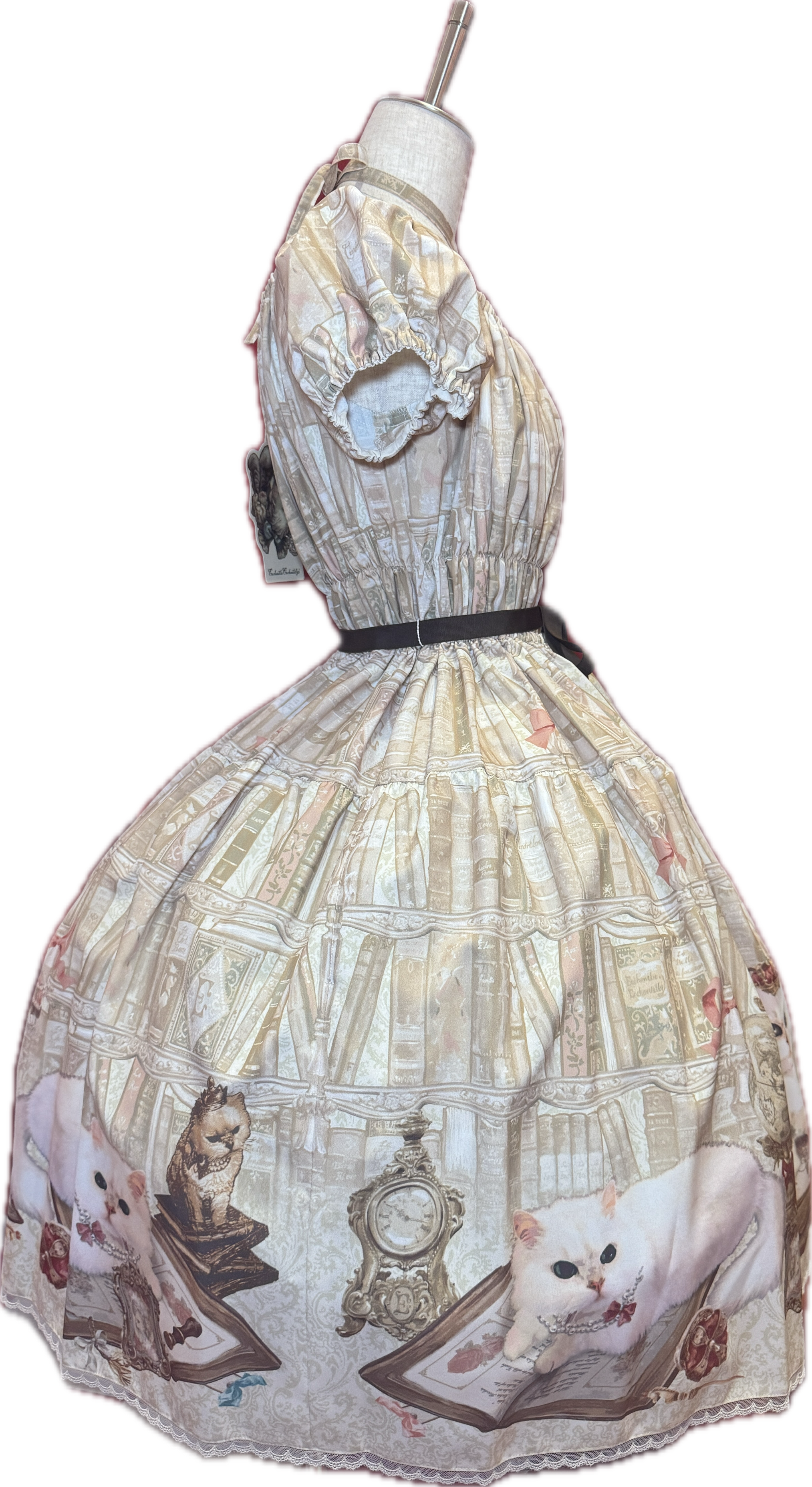 Queen Cat ~Secret Study~ Dress