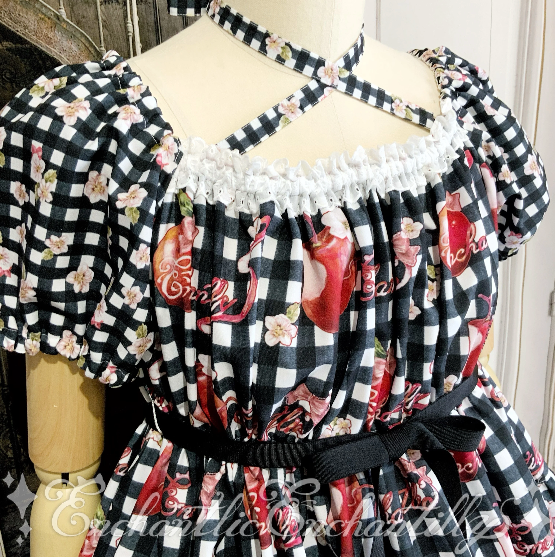 Dreaming Cat and Apple Gingham Check Dress