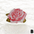 Dolled up Rings - Rose series
