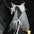 Night Evil Veil