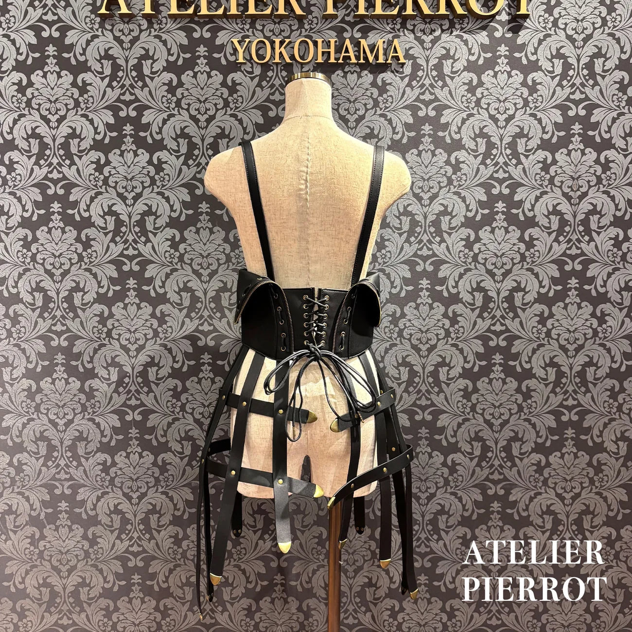 Sealed Cage Corset Harness