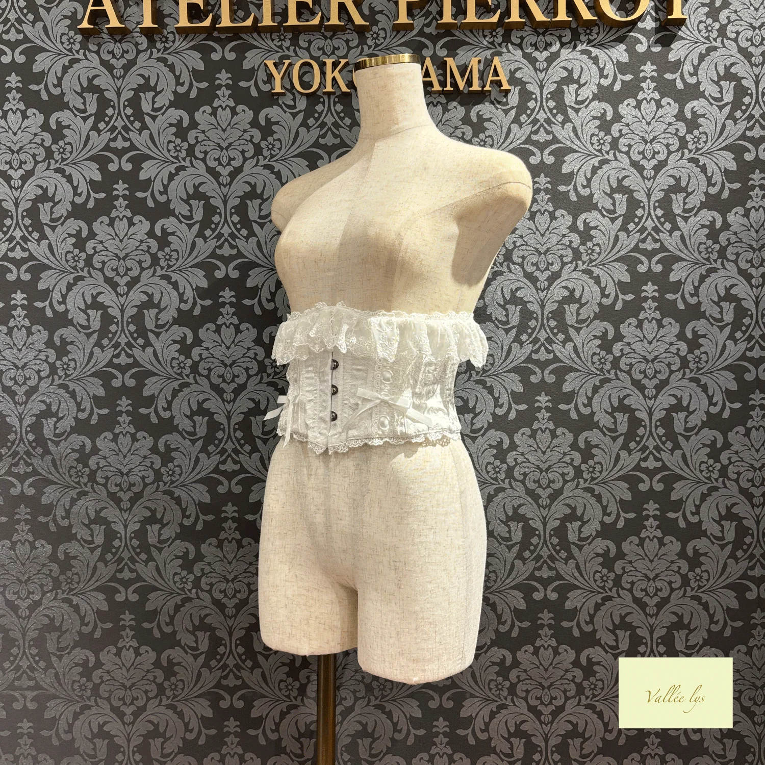 Fleur de Brume Corset