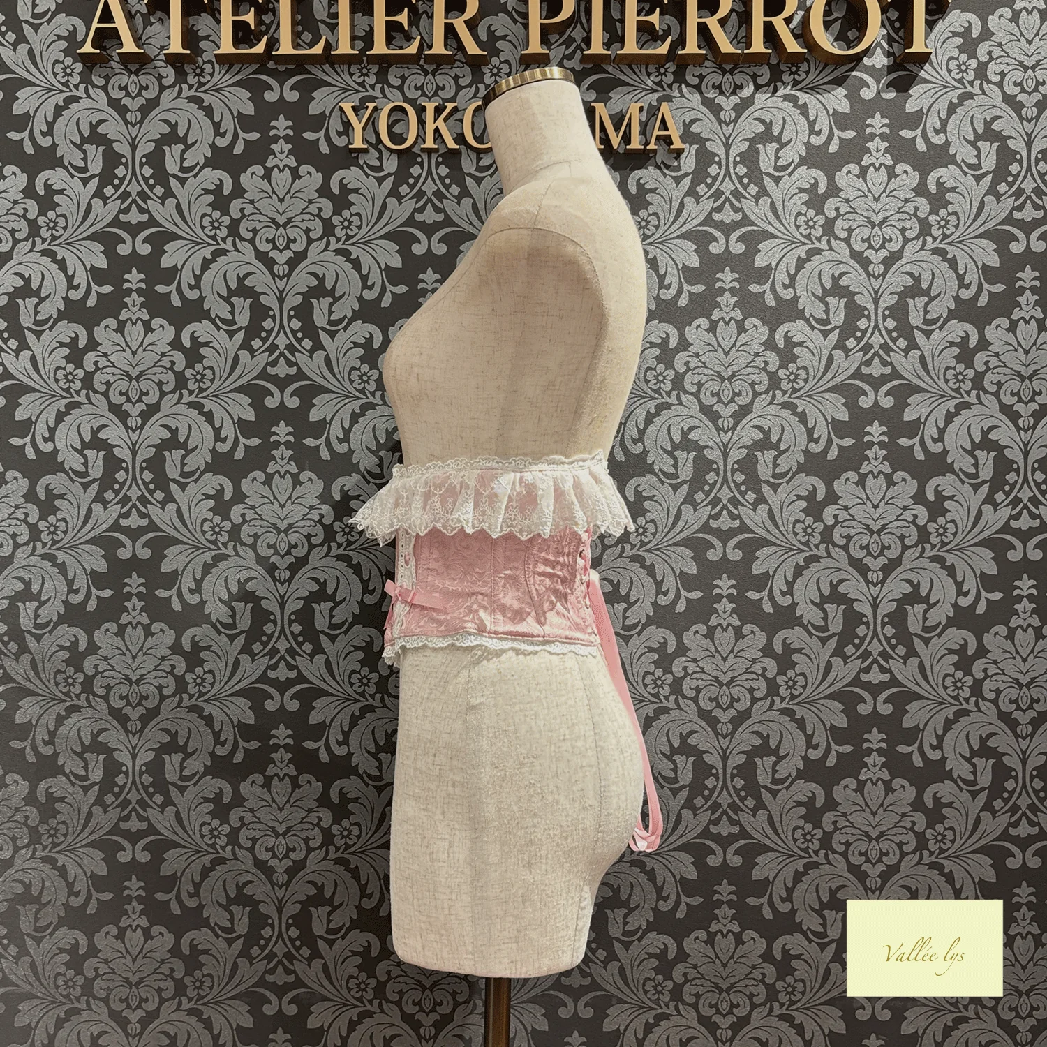 Fleur de Brume Corset