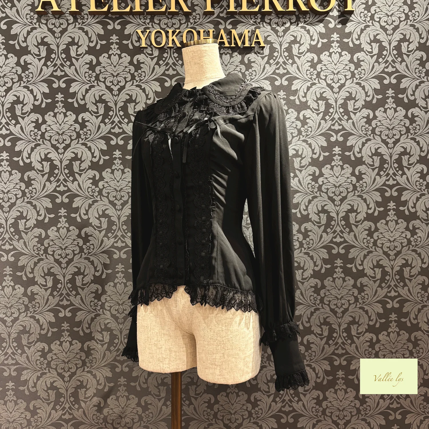 Dreams Ladder Lace Long Sleeved Blouse