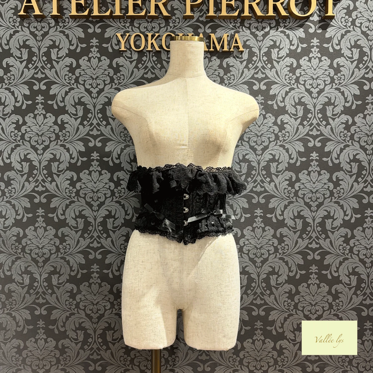 Fleur de Brume Corset