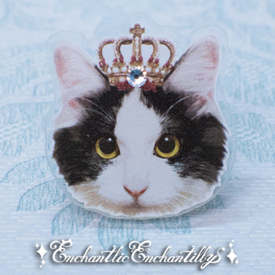 Dolled Up Ring: King Cat