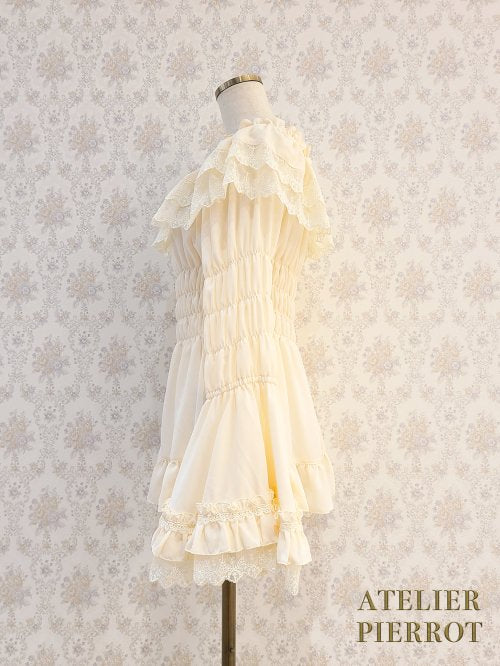 Shirring Princess Sleeve Blouse