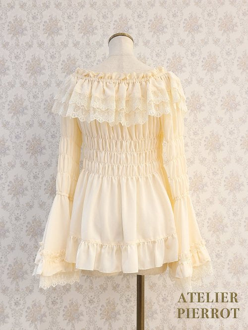 Shirring Princess Sleeve Blouse