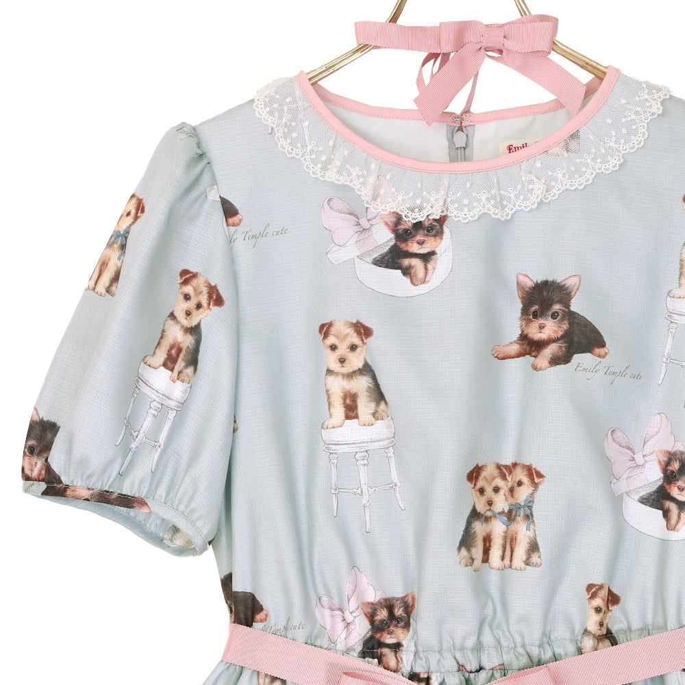 TERRIER Dress