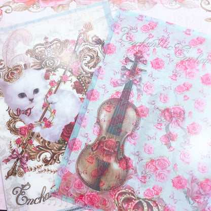 Cat and Violin Clear Files 2 Piece Set